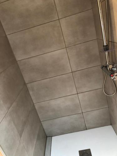 Vouneuil-sur-VienneにあるChambres d'Hôtes La Pocterieのバスルーム(タイル張りの天井のシャワー付)が備わります。
