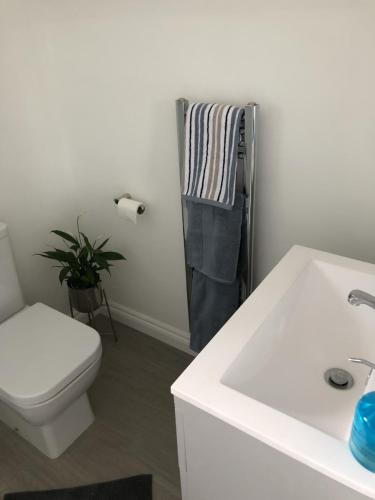 a bathroom with a white toilet and a sink at Woodland House B & B in Wimborne Minster
