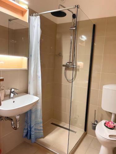 a bathroom with a shower and a sink and a toilet at Frühstückspension Elena Nicoleta Caltun in Fischamend Dorf