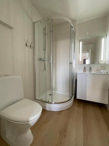y baño con ducha, aseo y lavamanos. en Guesthouse Bitra B&B en Selfoss