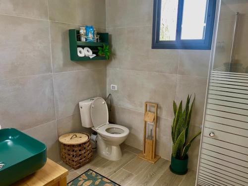 uma casa de banho com WC e uma planta em טורקיז em Sede Neẖemya