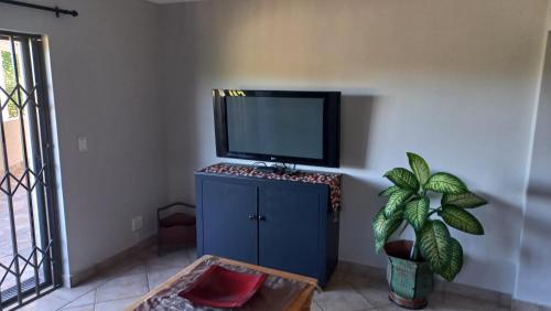 una TV seduta sopra un mobile blu in una stanza di 8 On Eagle Self Catering Apartment a Umtentweni