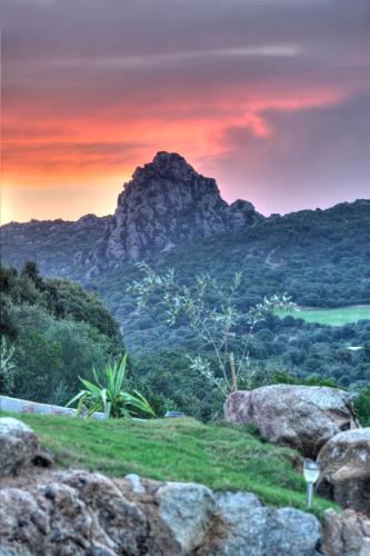 Gallery image of Sardinia Green Park Country Lodge in Olbia
