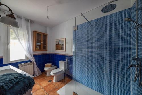 ein blaues Bad mit einer Dusche und einem WC in der Unterkunft Casa rural collao de lobo in Serradilla