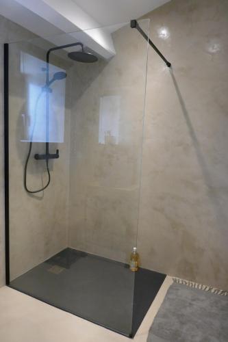 una ducha con puerta de cristal en una habitación en La Grange, Gîte 4 à 6 pers avec vue en Saint-Just-près-Brioude