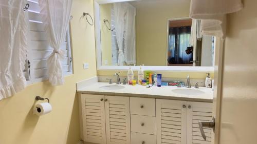 a bathroom with two sinks and a mirror at Jamnick Vacation Rentals - Fern Court, Richmond Estate, St Ann, Jamaica in Ocho Rios