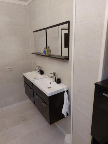 La salle de bains est pourvue d'un lavabo et d'un miroir. dans l'établissement B&B de (S)tulp, à Retie