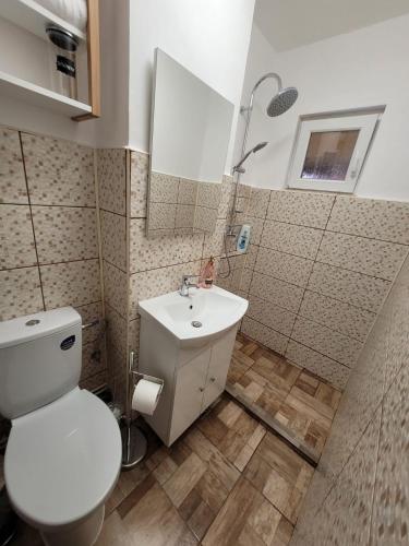 a bathroom with a toilet and a sink at Casa Rusu -Moroasa-Self check in-24h Netflix in Reşiţa
