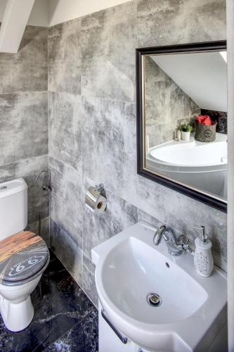 a bathroom with a sink and a toilet and a mirror at Motel Route66 in Čechy