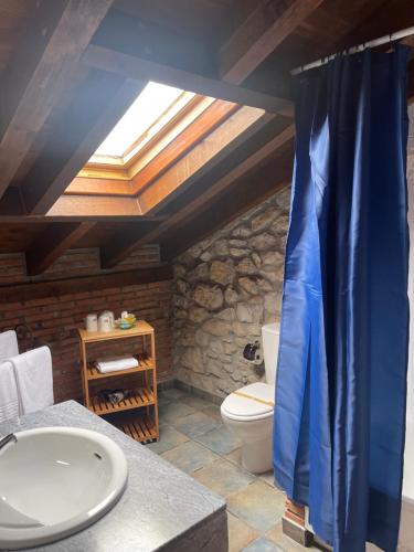 baño con aseo y cortina de ducha azul en Posada La Llosa de Viveda - Adults Only en Santillana del Mar