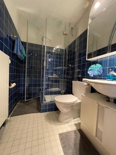 ein blau gefliestes Bad mit WC und Waschbecken in der Unterkunft Ferienwohnung Efibach 41 in Silenen