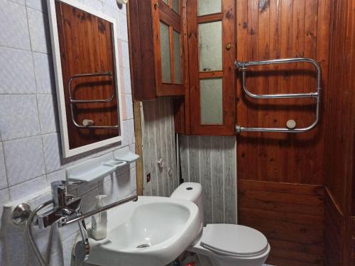 een badkamer met een wastafel, een toilet en een spiegel bij Кульпарківська 128,економ in Lviv