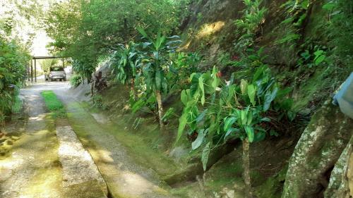 a road with plants on the side of a wall at Apartamento em Chácara Aconchegante - Kitnet in Angra dos Reis
