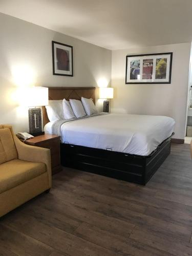 a hotel room with a large bed and a couch at Cedar Creek Inn in Bertram