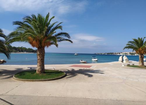 Gallery image of Cozy Apartments Danica Novalja - Ground floor in Novalja