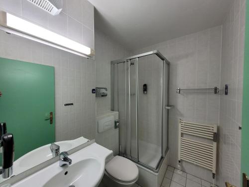 a bathroom with a shower and a sink and a toilet at Mitterdorf - apartmán Almberg in Philippsreut