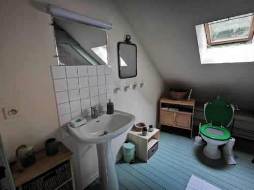 a bathroom with a sink and a toilet and a mirror at Gîte du Placello, piscine jacuzzi et sauna in Quistinic