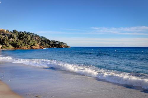 a beach with the ocean and trees in the background at Les Iles D'Or in Rayol-Canadel-sur-Mer