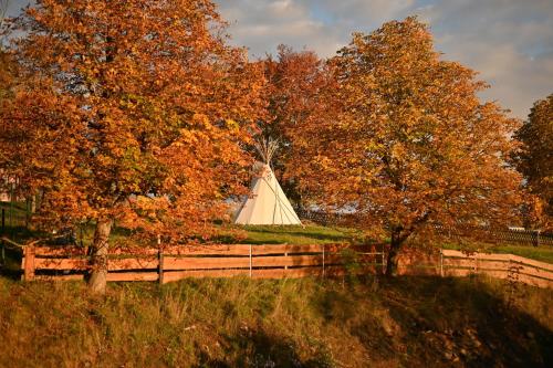 uma tenda no meio de um campo com árvores em Fewo Pöhlbergblick Wolkenstein em Wolkenstein