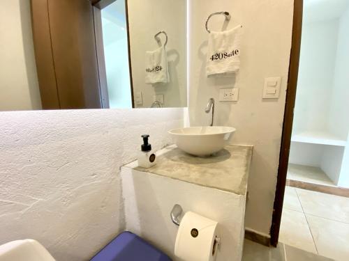 baño con lavabo y espejo en Hotel Zensi 420, en Lejanías