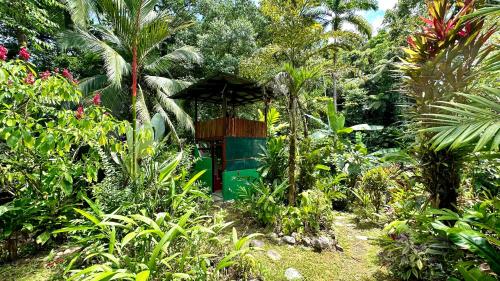 a bird feeder in the middle of a garden at Casa Aire Libre in Puerto Jiménez