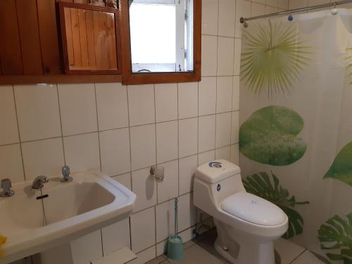 a bathroom with a toilet and a sink at Cabaña Eduvina in Choshuenco