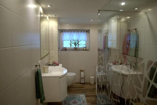 ein Badezimmer mit einem WC, einem Waschbecken und einem Spiegel in der Unterkunft CasaVitis Erholung am Weinberg in Lontzen