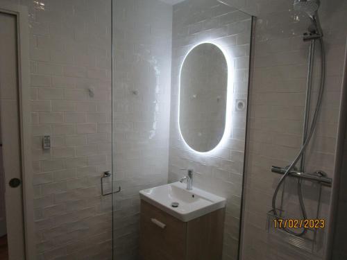 ein Bad mit einem Waschbecken und einer Dusche mit einem Spiegel in der Unterkunft Très belle vue Canal du Midi in Béziers