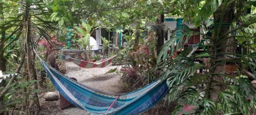 Taman di luar Cabinas del Mar