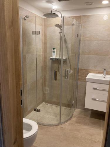 een badkamer met een douche, een toilet en een wastafel bij Chalupa Střelenka in Janov nad Nisou