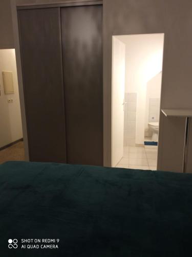 Cette chambre comprend un lit et une salle de bains pourvue de toilettes. dans l'établissement Les terrasses, à Arles