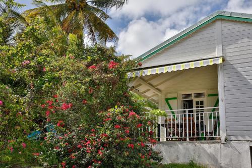 a house with a flowering bush in front of it at Gîtes de la coulisse in Trois-Rivières