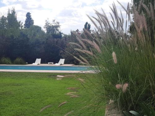 a swimming pool with two lounge chairs in a yard at HABITACION CON PISCINA Y PARQUE en Chacras de Coria in Chacras de Coria