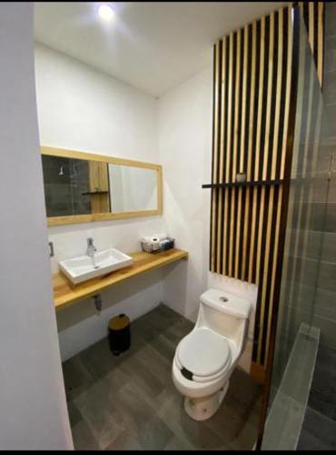 a bathroom with a toilet and a sink and a mirror at Carcamanes 17 Gastro-Hotel in Guanajuato