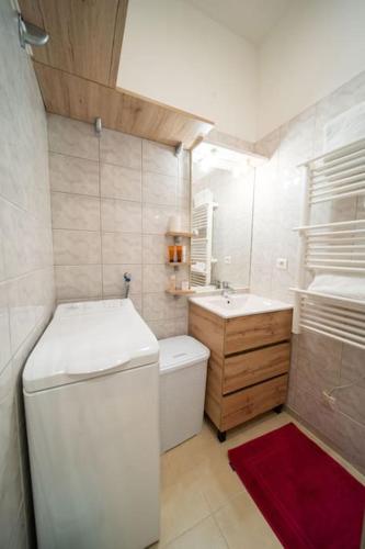 Elle comprend une petite salle de bains pourvue d'un réfrigérateur blanc et d'un évier. dans l'établissement Studio Premium City center, à Chalon-sur-Saône
