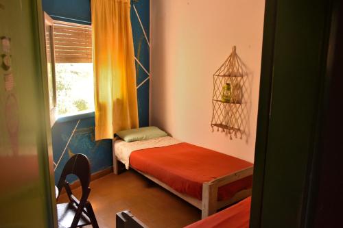 Cette petite chambre comprend 2 lits et une fenêtre. dans l'établissement Hostel Joven casa Reggae, à Córdoba