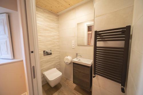 a small bathroom with a toilet and a sink at APARTAMENTOS CASA ARADIÑA 2 in Ríotorto