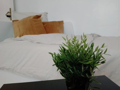uma cama branca com uma planta verde sobre uma mesa em Au Bord Du Lac - Arrivée 24H/24H em Meudon