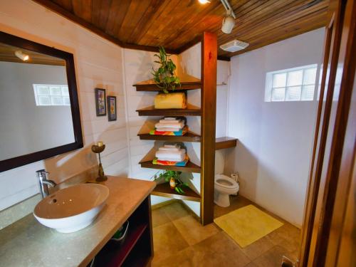 a bathroom with a sink and a toilet at Top Ridge Views - 2 Bedrooms in Sandy Bay