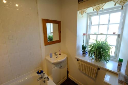 a bathroom with a sink and a toilet and a window at Cosy cottage flat in Inveraray