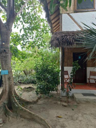 Jardín al aire libre en Hotel Bambú