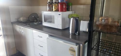 a kitchen with a counter top with a microwave at Family Hotel in Bathurst