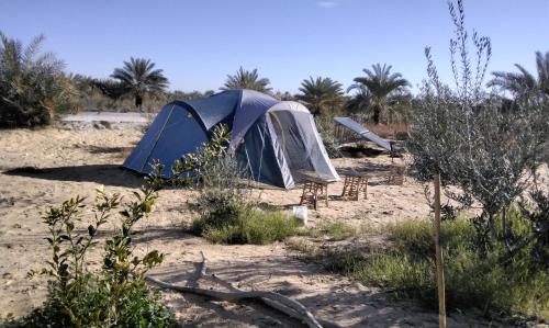 a blue tent in the middle of the desert at Hidden place in ‘Izbat Ţanāţī
