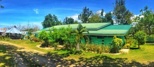 a green building with a green roof at House of TamSe Laagans ' Inn in Badian