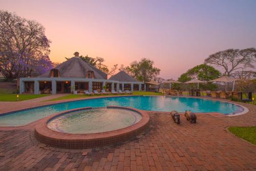 a swimming pool with two dogs walking around it at Lilayi Lodge in Lusaka