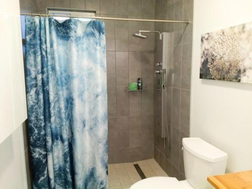 - Baño con cortina de ducha y aseo en Turquoise Villa, en Paradijs