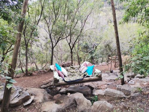 a group of chairs sitting on a log in the woods at Rustic Unique - Bush Glamping Retreat in Kalkheuvel