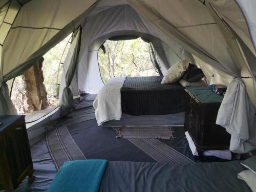 a room with a bed in a tent at Adorable unique guest house - African bush feel in Kalkheuvel