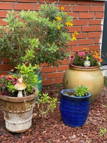 three potted plants in pots sitting next to a brick wall at Hotel Cura in Canakkale
