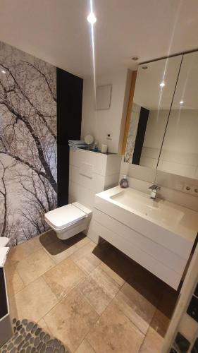 W łazience znajduje się umywalka, toaleta i lustro. w obiekcie Ferienwohnung im Bückle w mieście Gottenheim